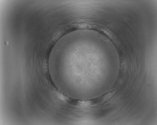 X0000065970469200603031133