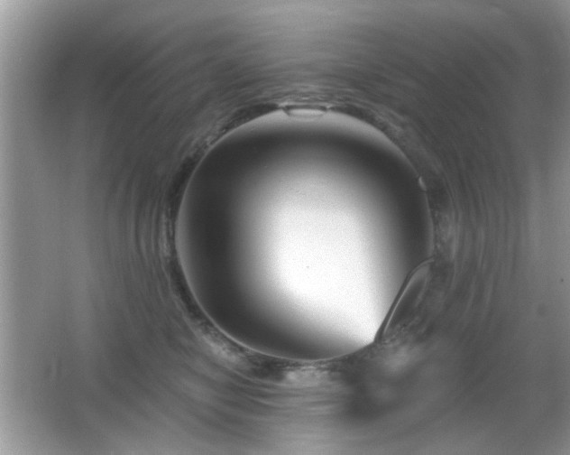 X0000065970470200603031133