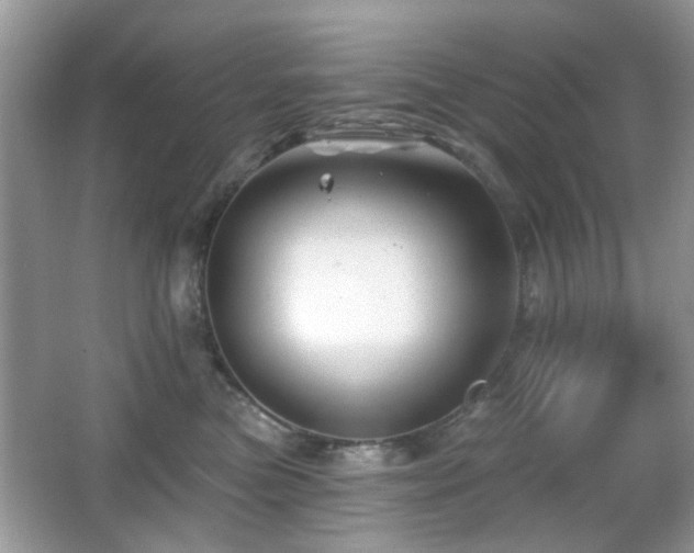 X0000065970473200603031133