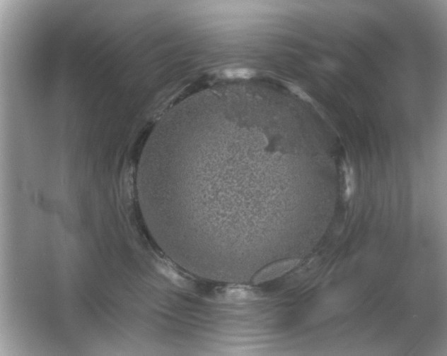 X0000065970475200603031133