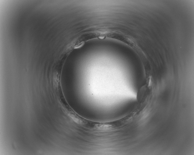 X0000065970476200603031133