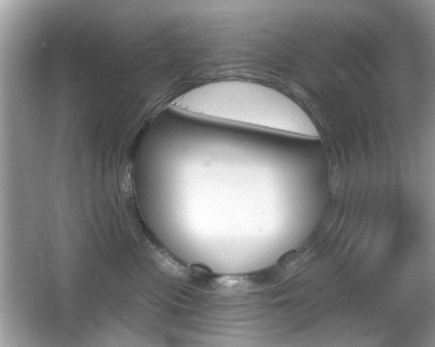 X0000065970477200603031133