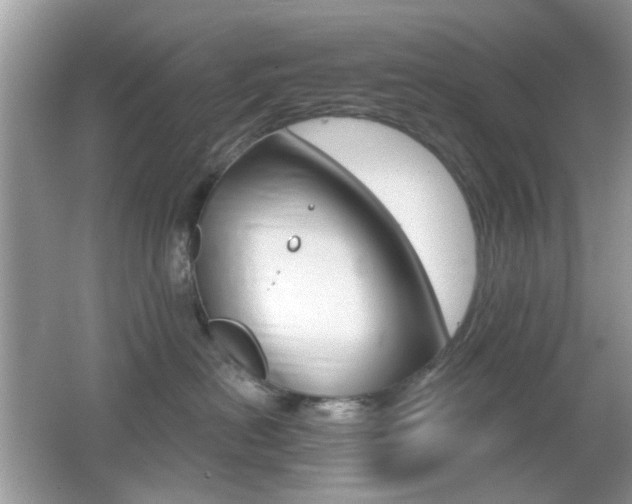 X0000065970478200603031133