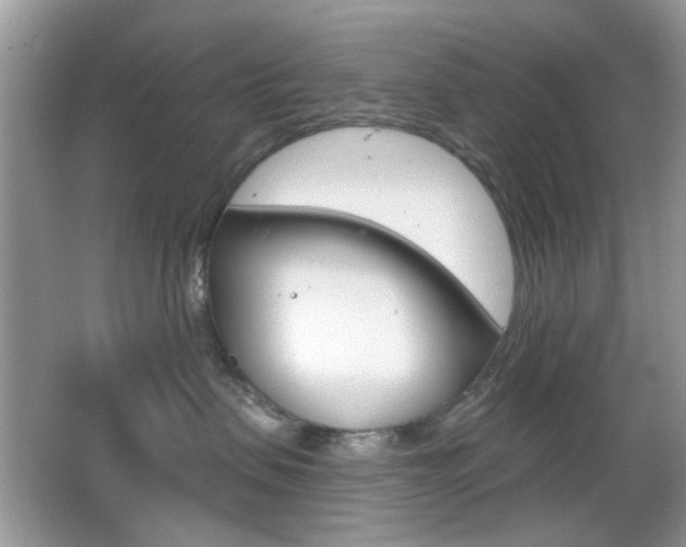 X0000065970479200603031133