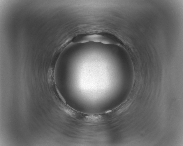 X0000065970480200603031133