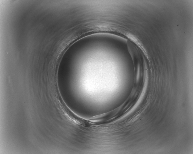 X0000065970481200603031132