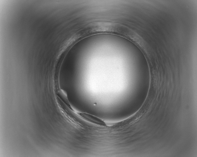 X0000065970482200603031132