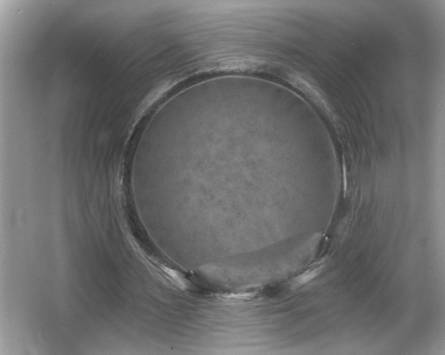 X0000065970483200603031132