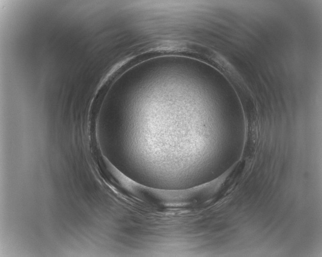 X0000065970484200603031132