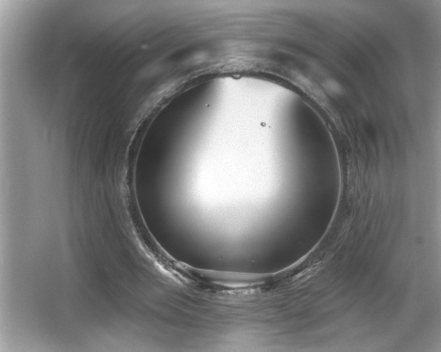 X0000065970485200603031132