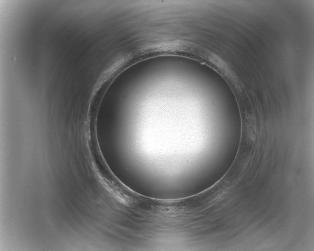 X0000065970486200603031132