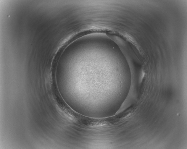 X0000065970488200603031132