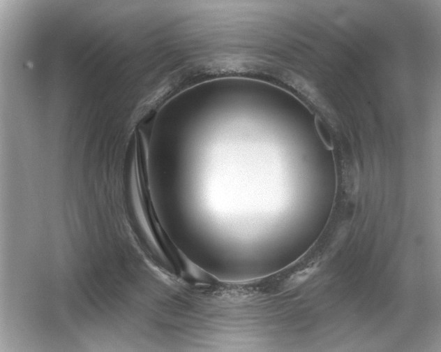 X0000065970489200603031132