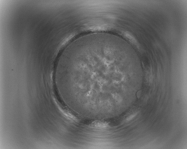 X0000065970491200603031132