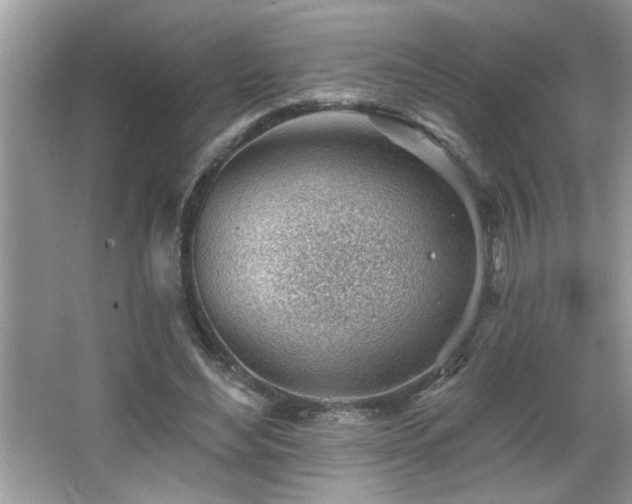 X0000065970492200603031132