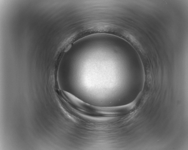 X0000065970493200603031132