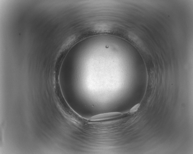 X0000065970494200603031132