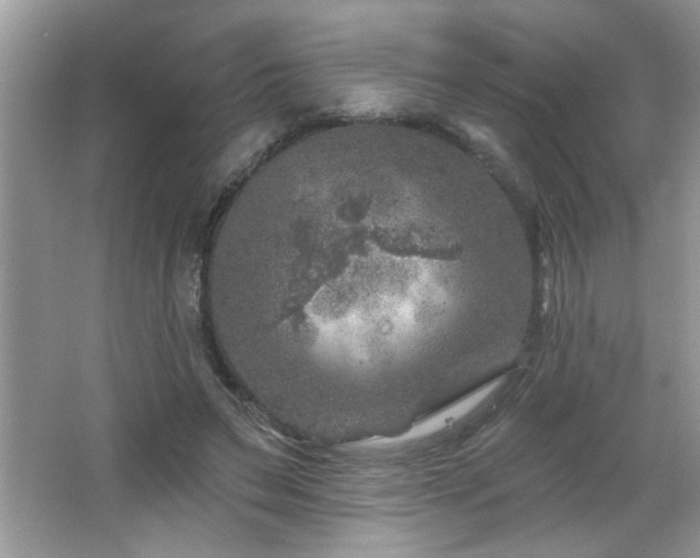 X0000065970495200603031132