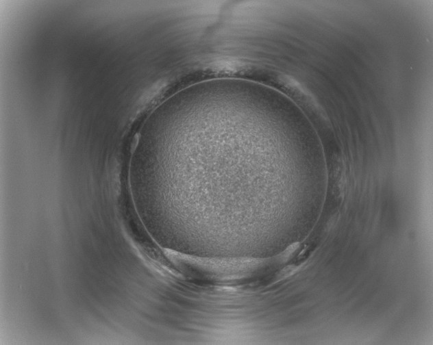 X0000065970496200603031132