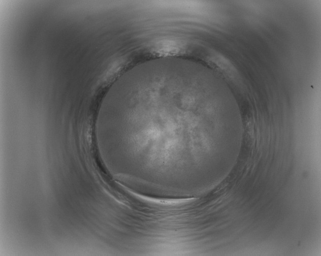 X0000065970499200603031132