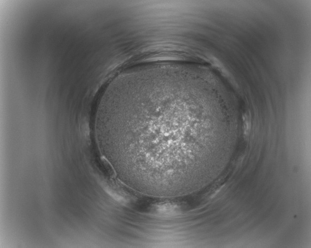 X0000065970500200603031132