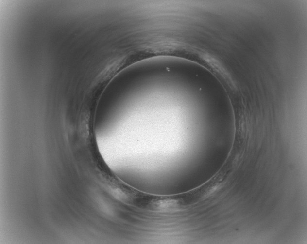 X0000065970501200603031132