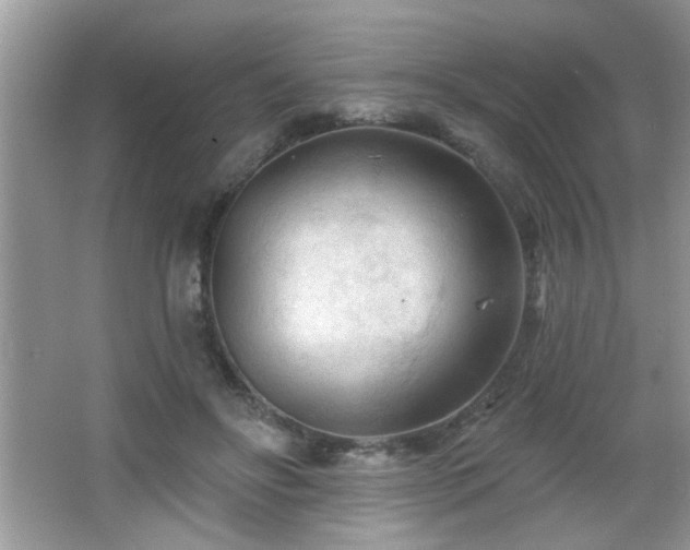 X0000065970502200603031132