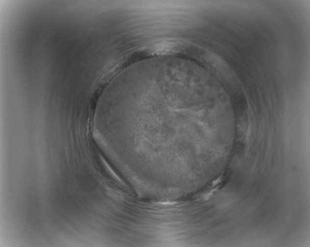 X0000065970503200603031132