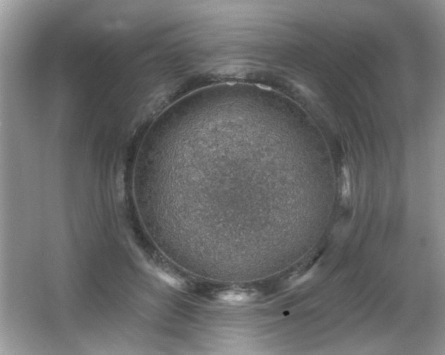 X0000065970504200603031132