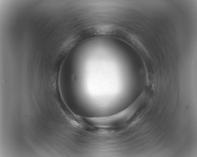 X0000065970505200603031132