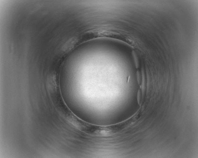 X0000065970506200603031132