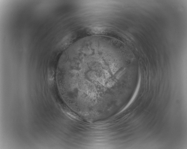 X0000065970507200603031132