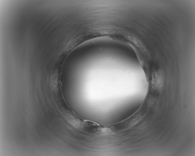 X0000065970509200603031132