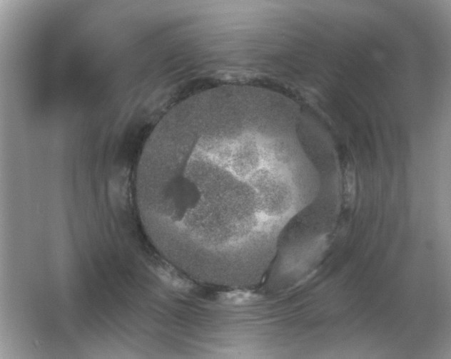 X0000065970511200603031132