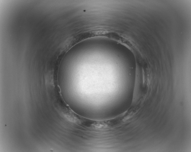 X0000065970512200603031132