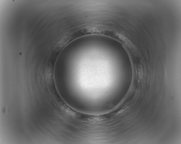 X0000065970513200603031132