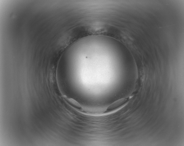 X0000065970515200603031132