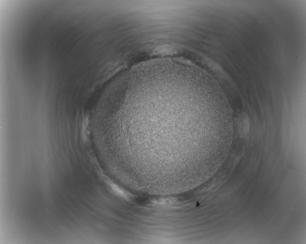 X0000065970517200603031132