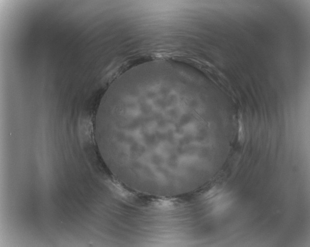 X0000065970523200603031132