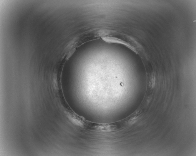 X0000065970524200603031132