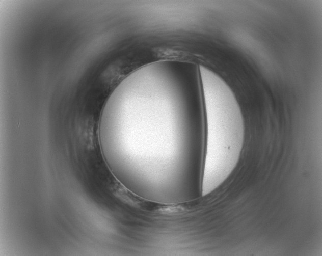 X0000065970525200603031132