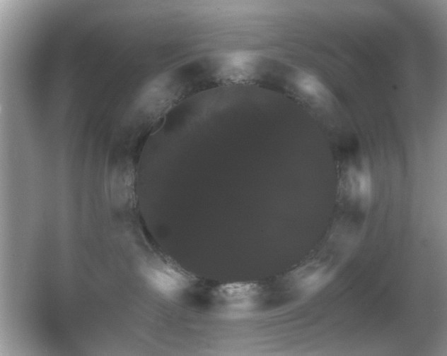 X0000065970526200603031132