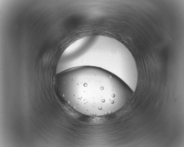 X0000065970527200603031132