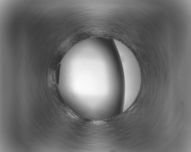 X0000065970528200603031132