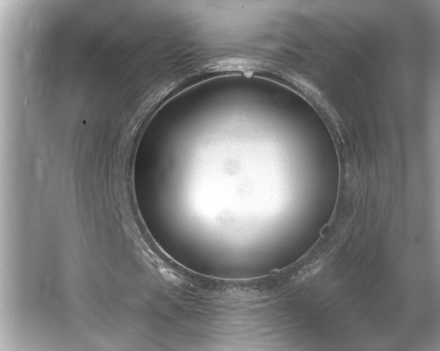 X0000065970529200603031131