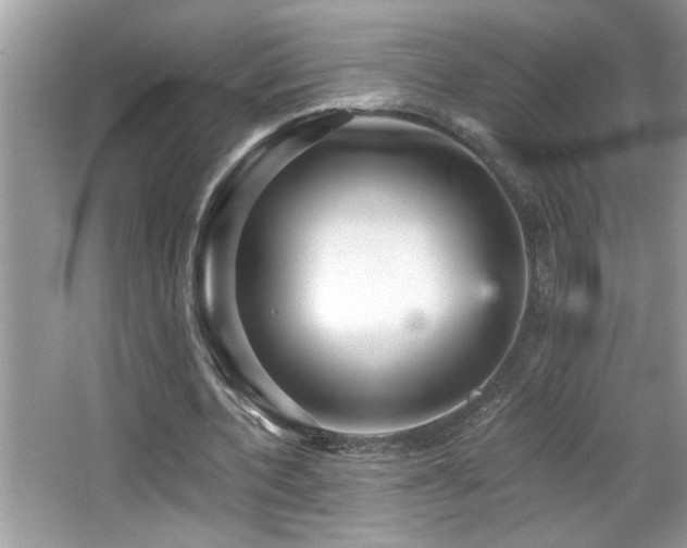 X0000065970532200603031131