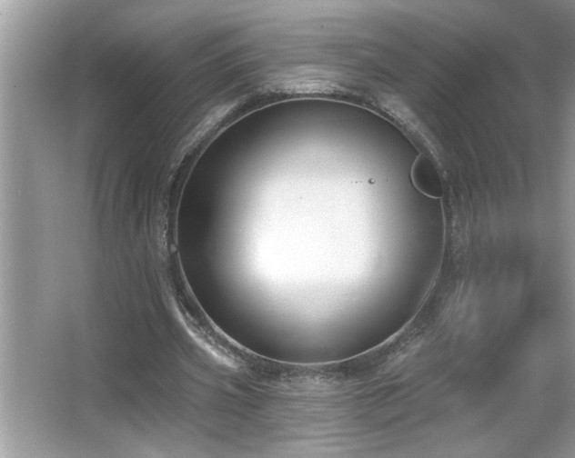 X0000065970533200603031131