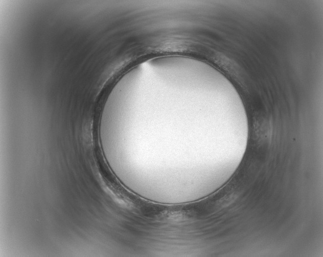 X0000065970534200603031131