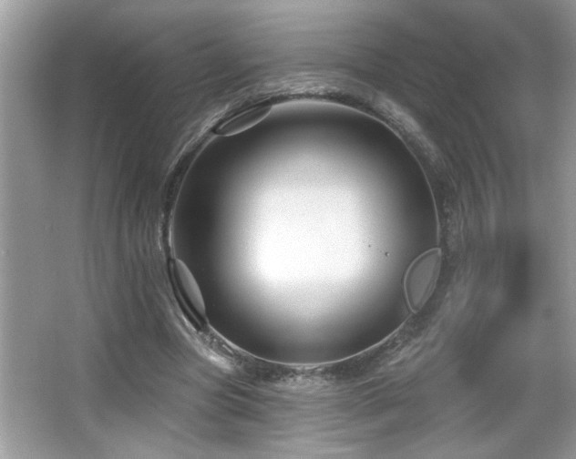 X0000065970537200603031131