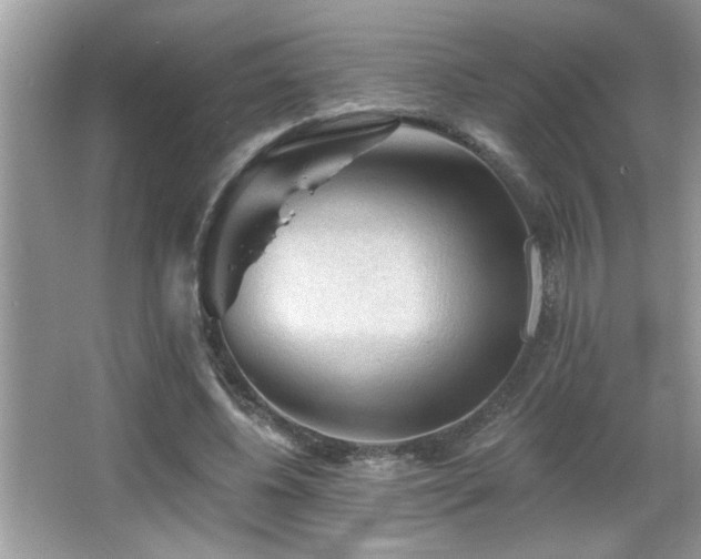 X0000065970540200603031131